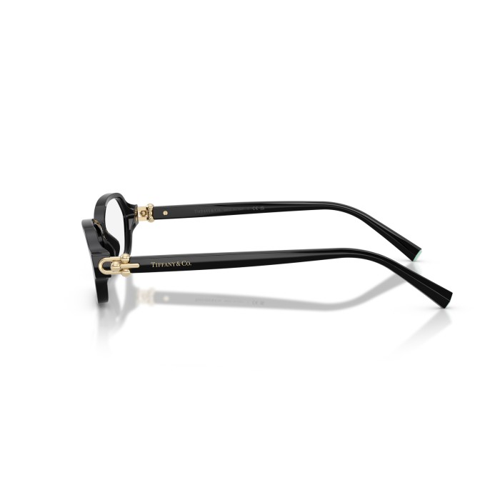 TIFFANY & CO. TF2293U 8001