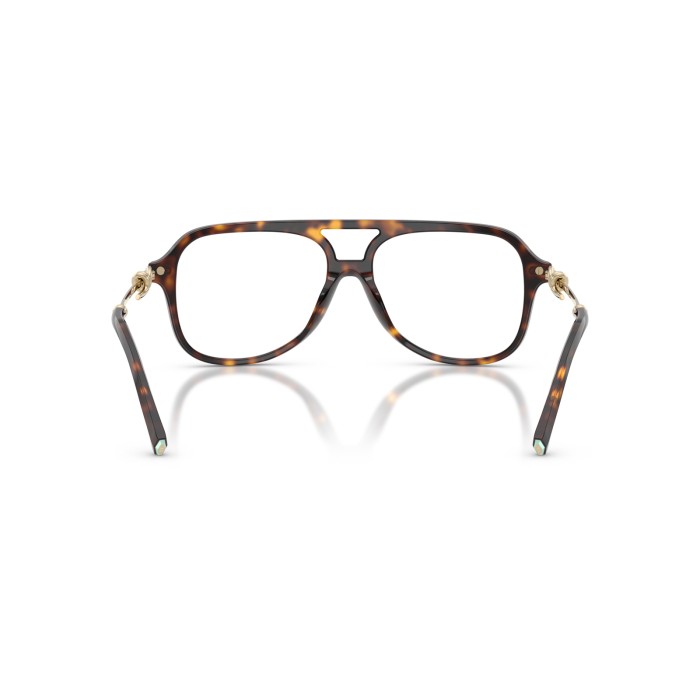 TIFFANY & CO. TF2283 8015