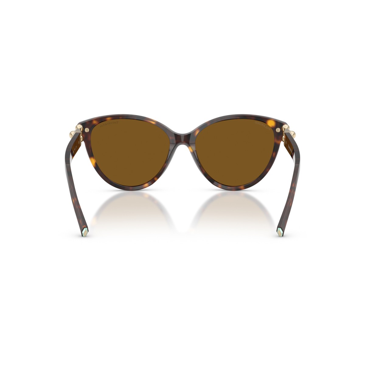 TIFFANY & CO. TF4261 801583 | Sunglasses | Vytria Eyewear