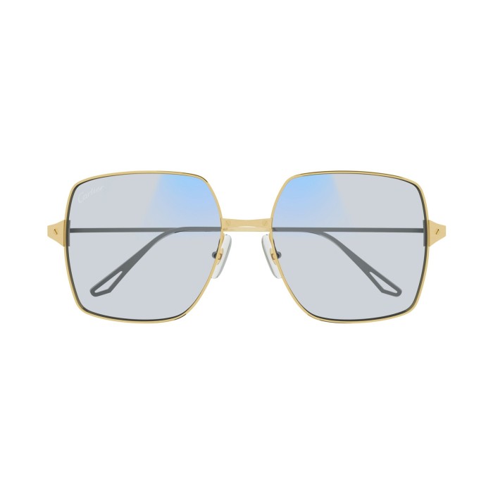 Santos de Cartier CT0297S 005