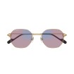 CARTIER CT0500S 005 | Sunglasses | Vytria Eyewear
