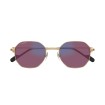 CARTIER CT0500S 005 | Sunglasses | Vytria Eyewear