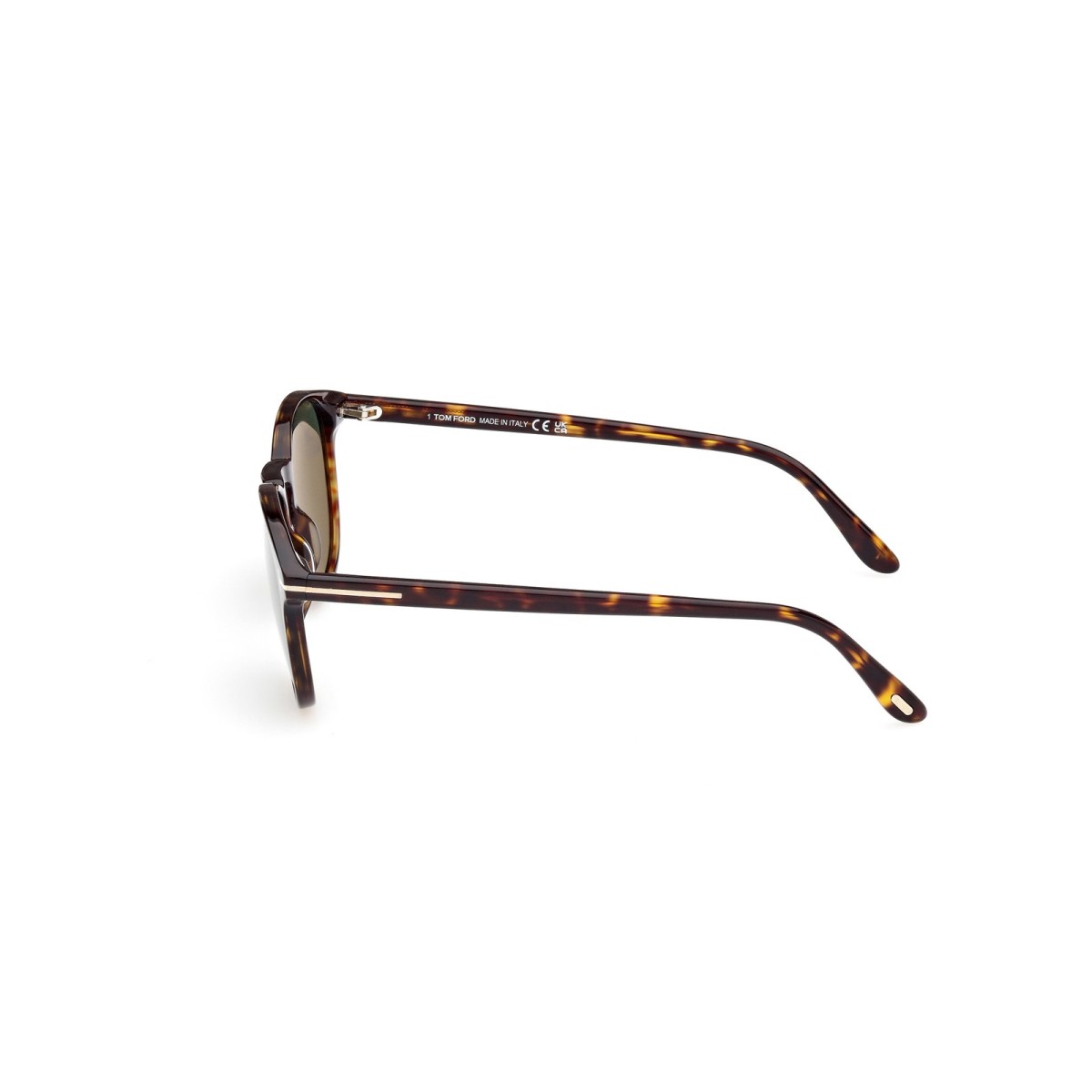 Tom Ford Lewis Sunglasses FT1097 52N  | Havana Tom Ford Sunglasses
