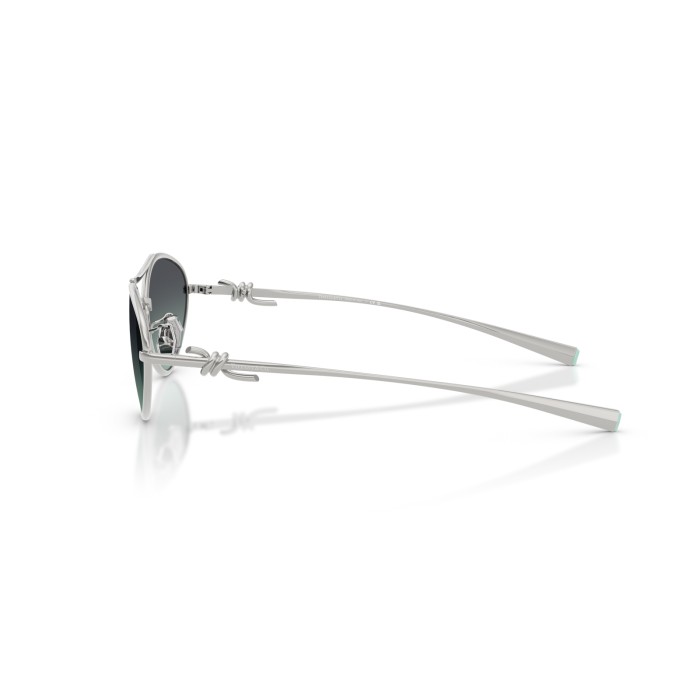 TIFFANY & CO. TF3117 60012G