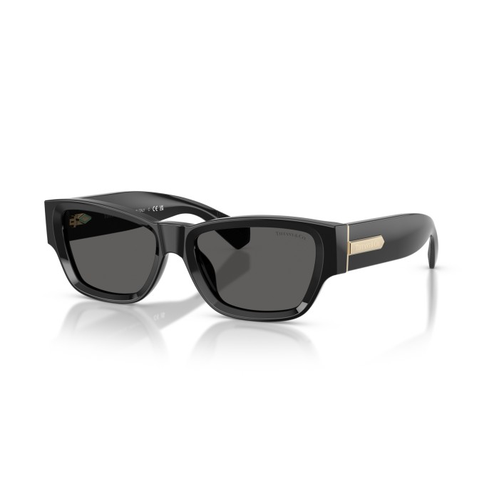 TIFFANY & CO. TF4265U 8001S4 | Sunglasses | Vytria Eyewear