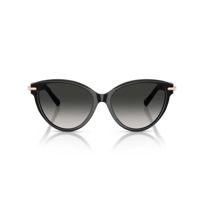 TIFFANY & CO. TF4261 80013C