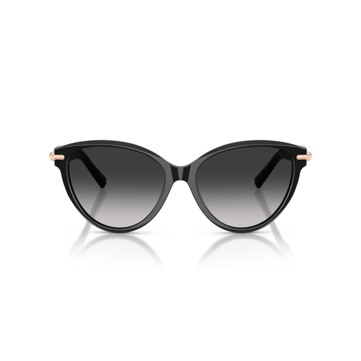 TIFFANY & CO. TF4261 80013C | Sunglasses | Vytria Eyewear
