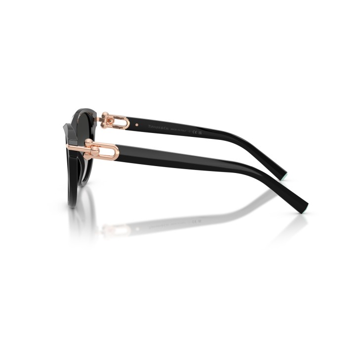 TIFFANY & CO. TF4261 80013C