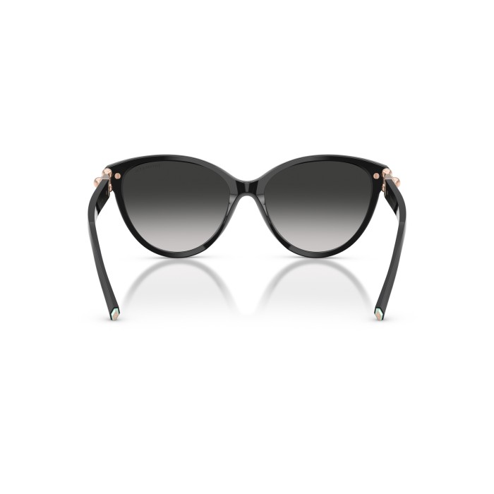TIFFANY & CO. TF4261 80013C