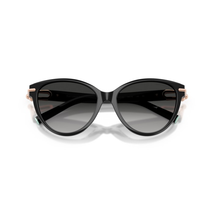 TIFFANY & CO. TF4261 80013C