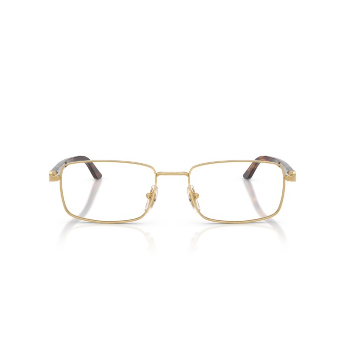 PERSOL PO1029V 515
