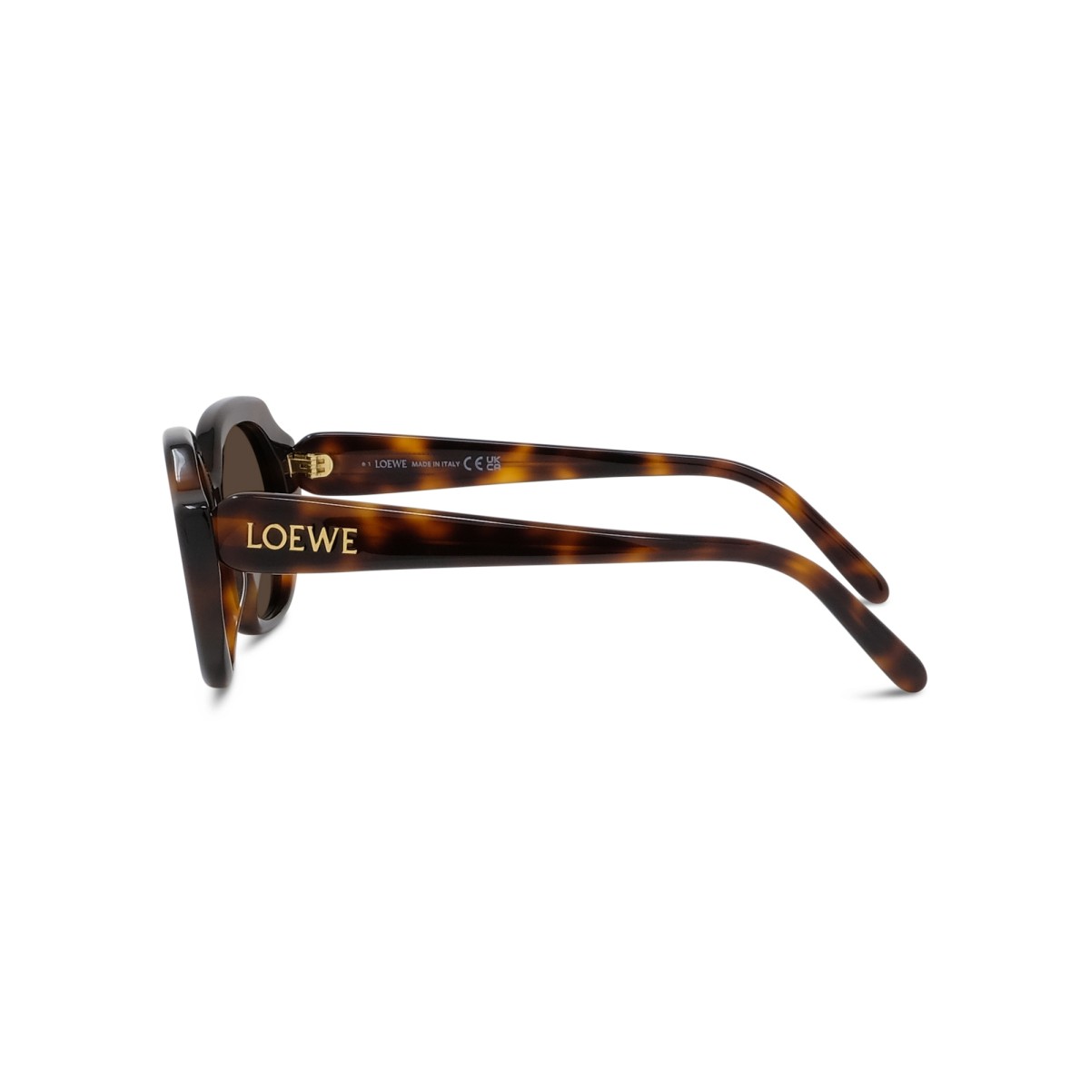 LOEWE LW40191I 52E | Gafas de sol | Vytria Eyewear