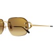 CARTIER CT0468S 004 | Gafas de sol | Vytria Eyewear