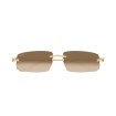 CARTIER CT0505S 003 | Sunglasses | Vytria Eyewear