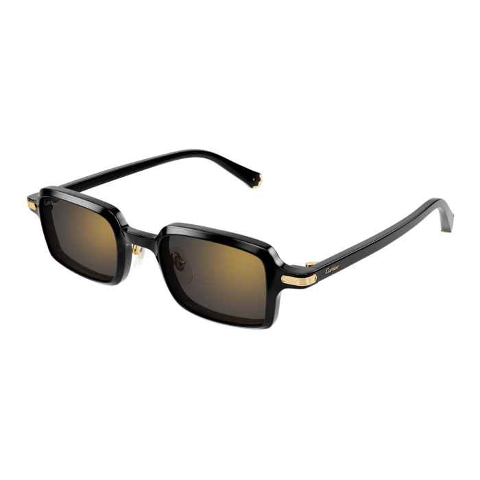 CARTIER CT0539S 001 | Sunglasses | Vytria Eyewear