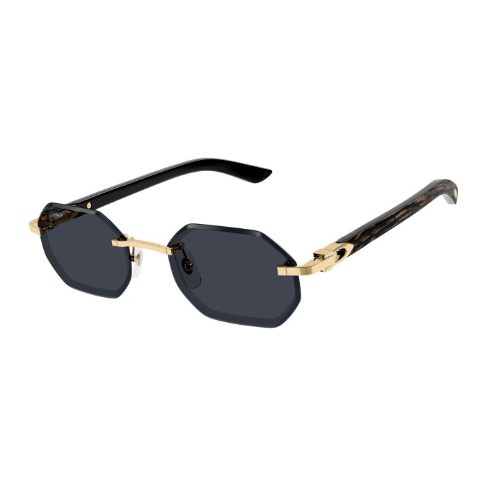 CARTIER CT0439S 001 | Sunglasses | Vytria Eyewear