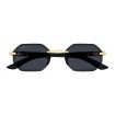 CARTIER CT0439S 001 | Sunglasses | Vytria Eyewear