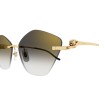 CARTIER CT0429S 001 | Sunglasses | Vytria Eyewear