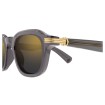 CARTIER CT0536S 003 | Sunglasses | Vytria Eyewear