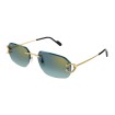 CARTIER CT0468S 003 | Gafas de sol | Vytria Eyewear