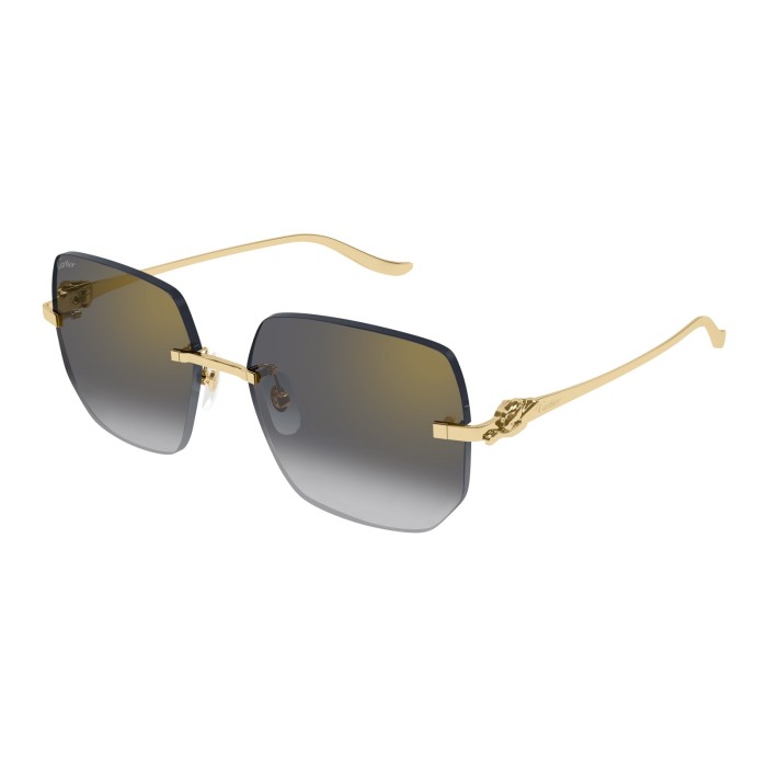 CARTIER CT0549S 001 | Sunglasses | Vytria Eyewear