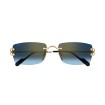 CARTIER CT0550S 002 | Gafas de sol | Vytria Eyewear