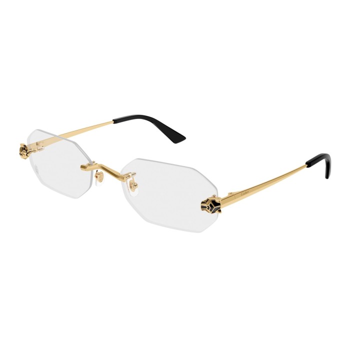 CARTIER CT0599O 001 | Eyeglasses | Vytria Eyewear