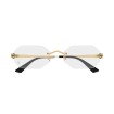 CARTIER CT0599O 001 | Eyeglasses | Vytria Eyewear