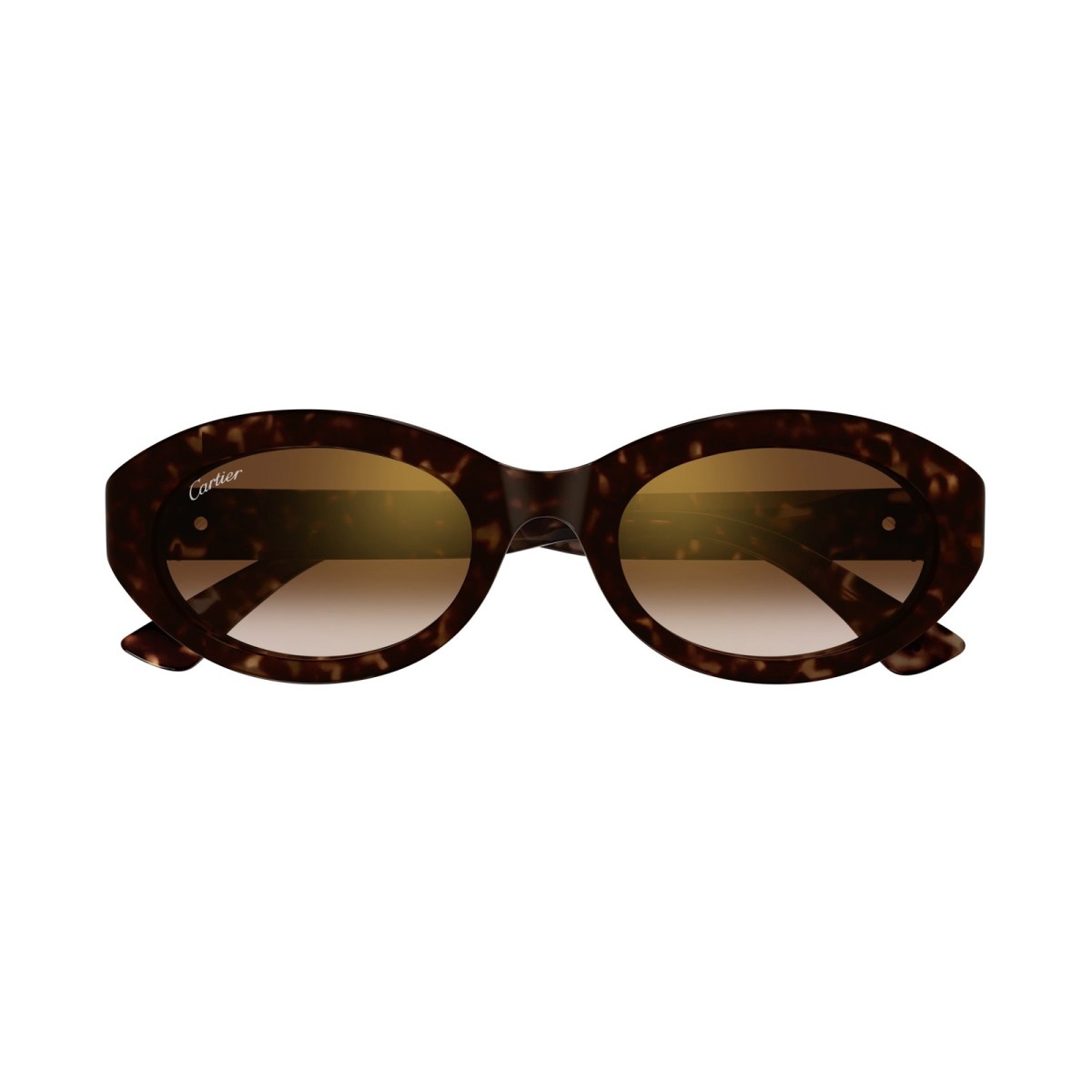 CARTIER CT0588S 002 | Sunglasses | Vytria Eyewear