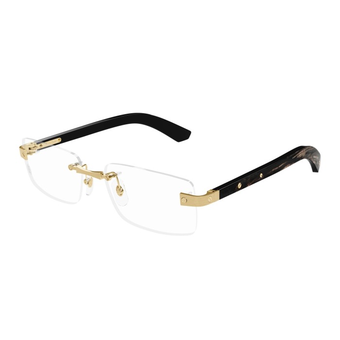 CARTIER CT0513O 001 | Eyeglasses | Vytria Eyewear