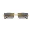 CARTIER CT0604S 001 | Sunglasses | Vytria Eyewear