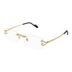 CARTIER CT0563O 001 | Eyeglasses | Vytria Eyewear