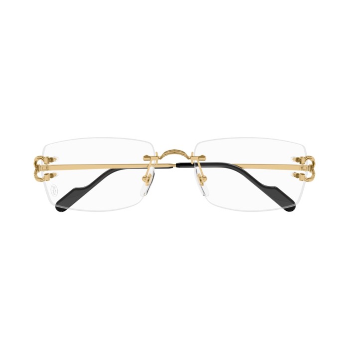 Motifs de Cartier CT0563O 001