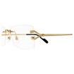 CARTIER CT0563O 001 | Eyeglasses | Vytria Eyewear