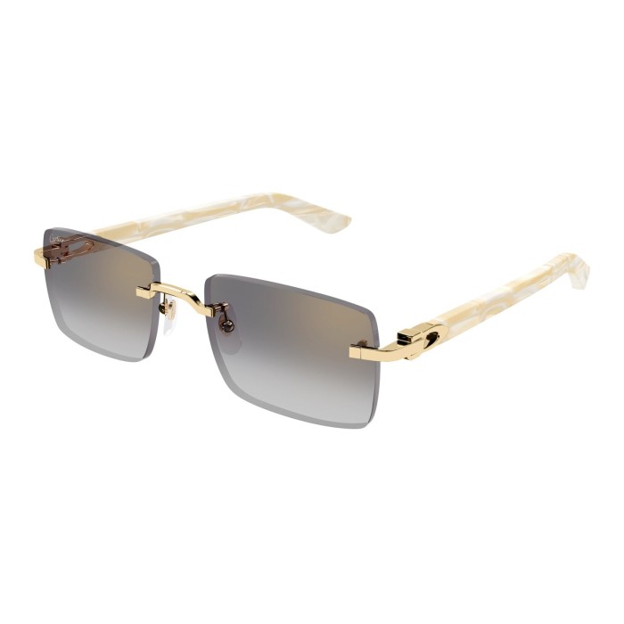 CARTIER CT0579S 003 | Sunglasses | Vytria Eyewear