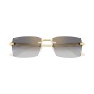 CARTIER CT0579S 003 | Sunglasses | Vytria Eyewear