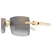 CARTIER CT0579S 003 | Sunglasses | Vytria Eyewear
