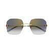 CARTIER CT0591S 001 | Sunglasses | Vytria Eyewear