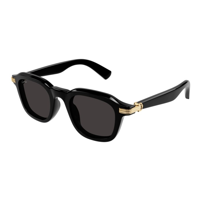 CARTIER CT0536S 001 | Gafas de sol | Vytria Eyewear