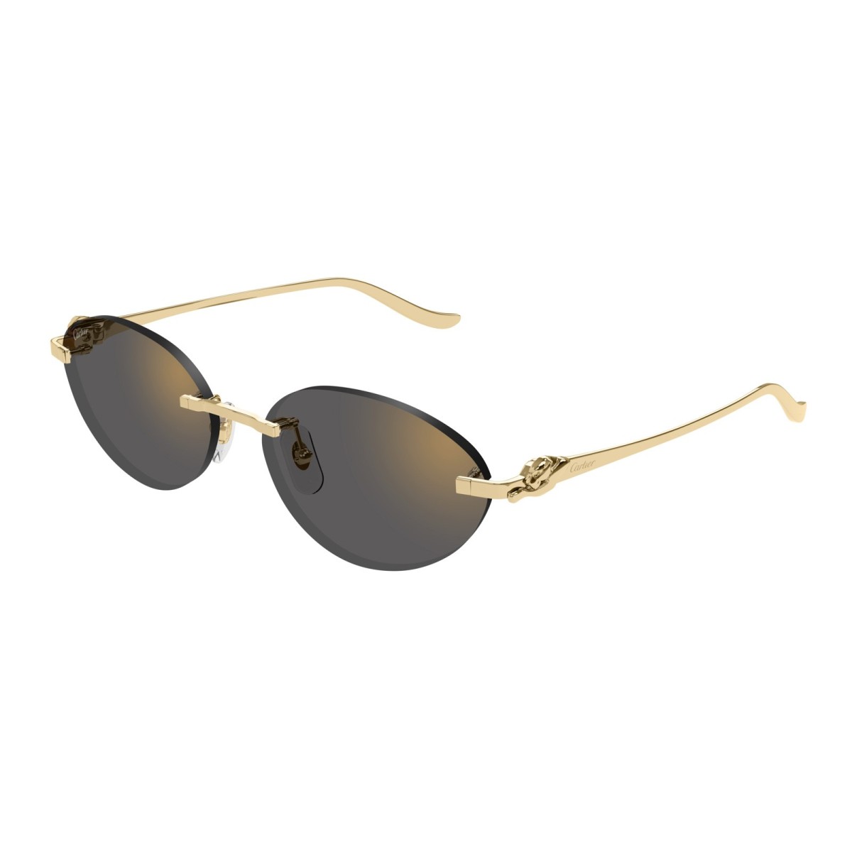 CARTIER CT0504S 001 | Gafas de sol | Vytria Eyewear