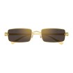 CARTIER CT0473S 001 | Gafas de sol | Vytria Eyewear