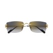 CARTIER CT0550S 001 | Gafas de sol | Vytria Eyewear