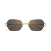 CARTIER CT0636S 001 | Gafas de sol | Vytria Eyewear
