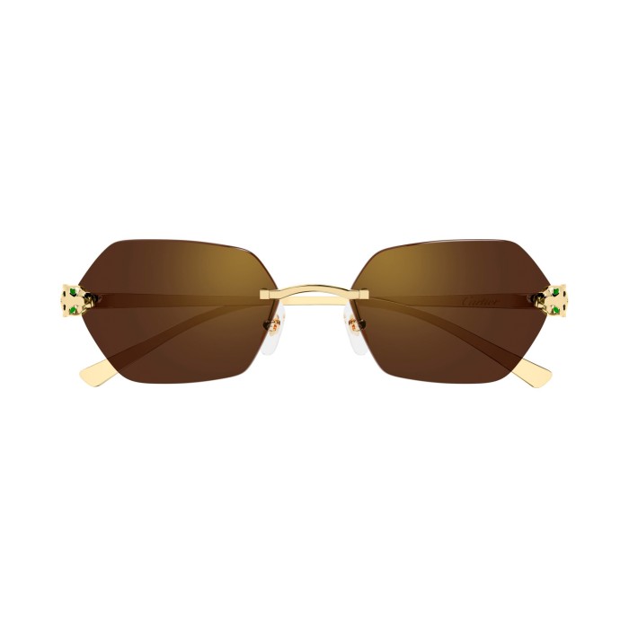 Panthére de Cartier CT0636S 002