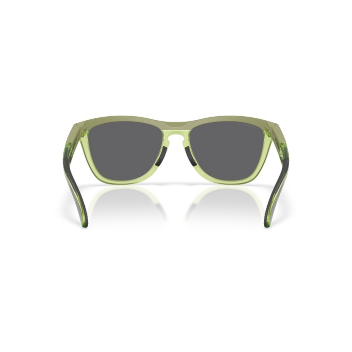 OAKLEY FROGSKINS RANGE XL OO9503 950307