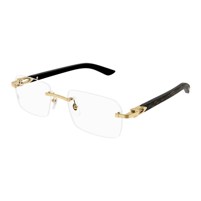 CARTIER CT0453O 001 | Eyeglasses | Vytria Eyewear