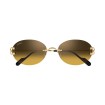 CARTIER CT0551S 009 | Gafas de sol | Vytria Eyewear