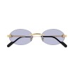 CARTIER CT0615S 004 | Sunglasses | Vytria Eyewear