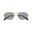 CARTIER CT0616S 004 | Sunglasses | Vytria Eyewear