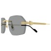 CARTIER CT0616S 004 | Sunglasses | Vytria Eyewear